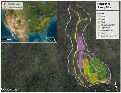 Impact of prescribed fire on soil microbial communities in a Southern Appalachian Forest clear-cut